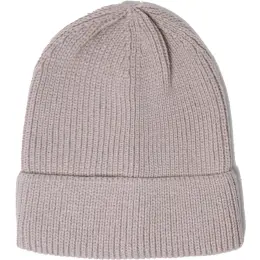 FWRD Ice Beanie Grey
